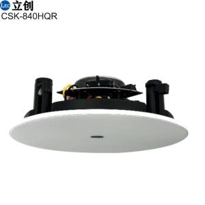 Ceiling speaker system 2 way