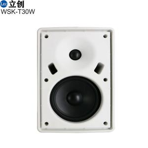 Commercial public address speaker