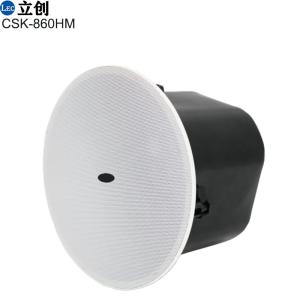 Commercial ceiling speaker