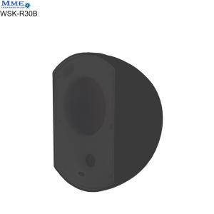 Wall speaker​