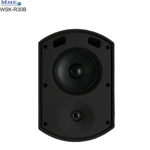 In wall speaker