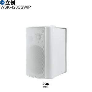 Outdoor Cabinet Speaker 4" WSK-420CSWIP 