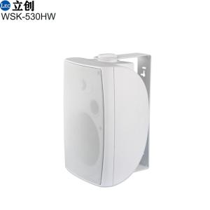 2-way wall mount speaker 5.25"