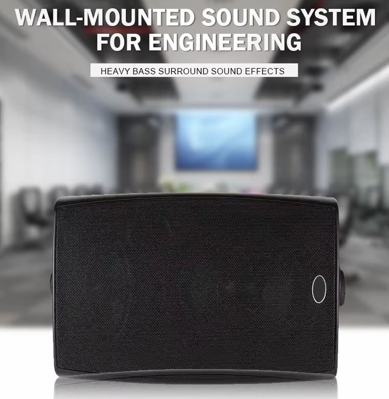 wall speaker (9).jpg