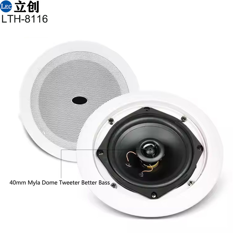 ceiling speaker (6).jpg