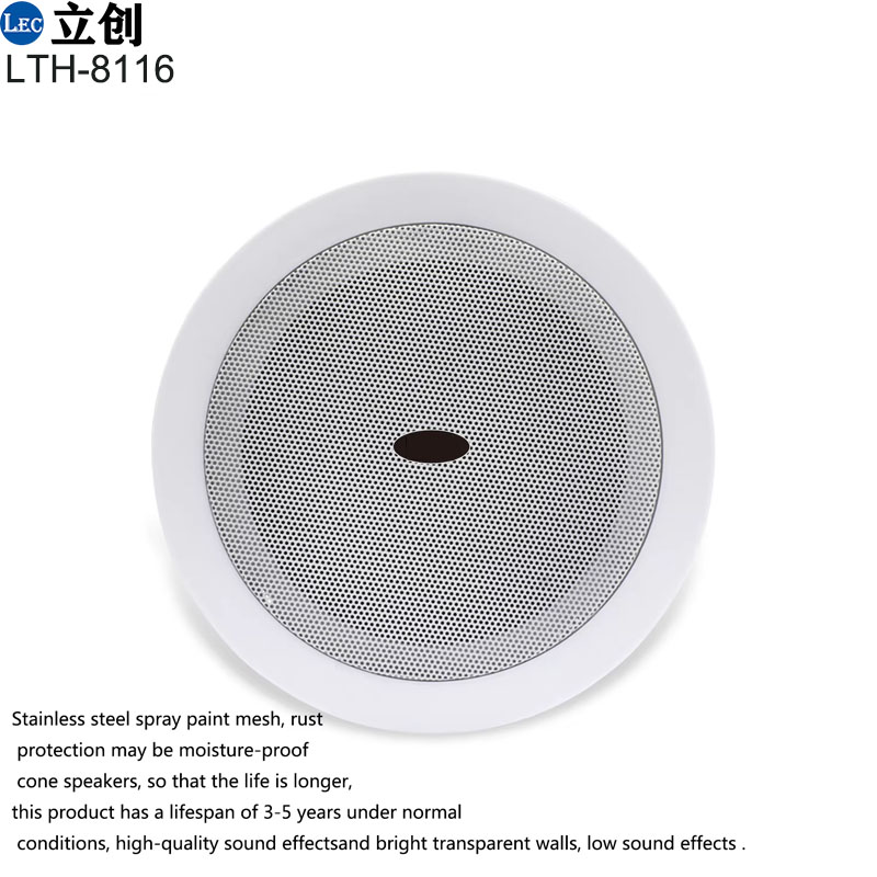 ceiling speaker (3).jpg