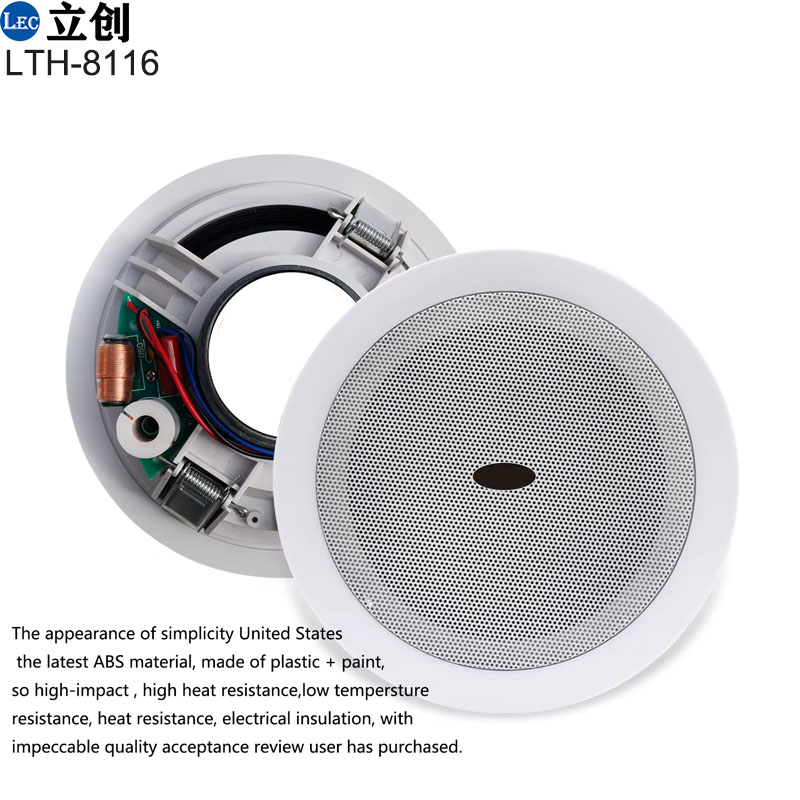 ceiling speaker (1).jpg