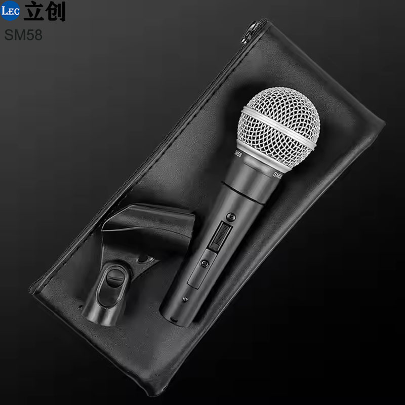 karaoke microphones (1).jpg