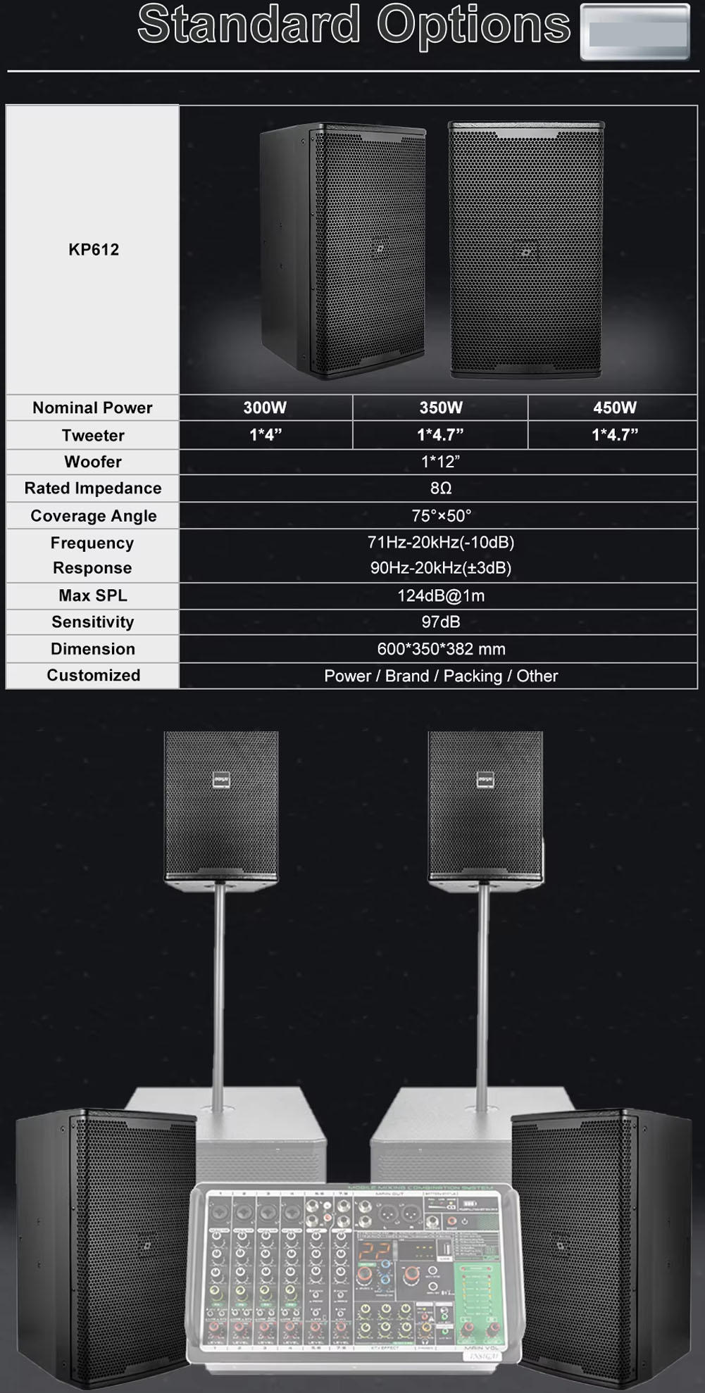 Stage Sound Equipment Professional Speaker (7).jpg